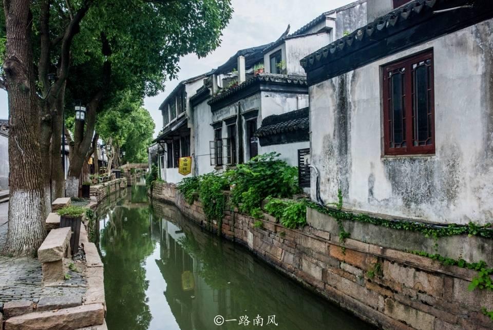 逃离诡异的森林